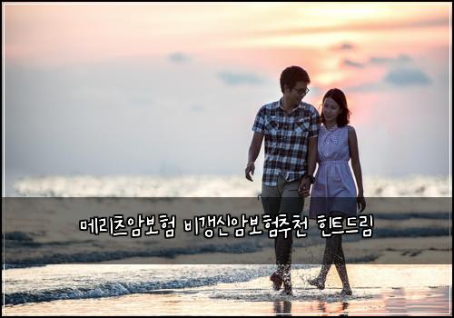 메리츠암보험 비갱신암보험추천 힌트드림