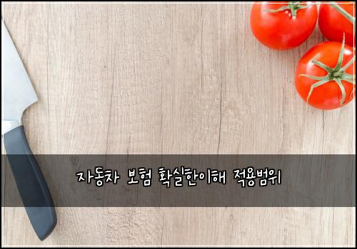 자동차 보험 확실한이해  적용범위