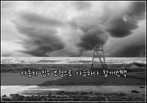 자동차 침수 보험으로 가능하다 함께선택