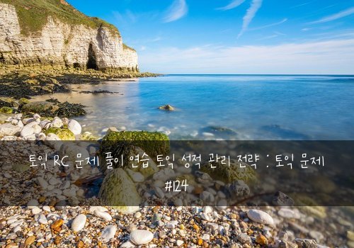 토익 RC 문제 풀이 연습 토익 성적 관리 전략 : 토익 문제 #124