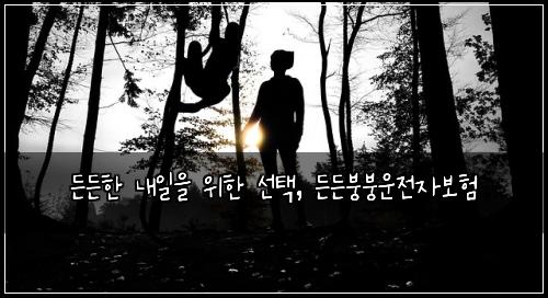  든든한 내일을 위한 선택, 든든붕붕운전자보험