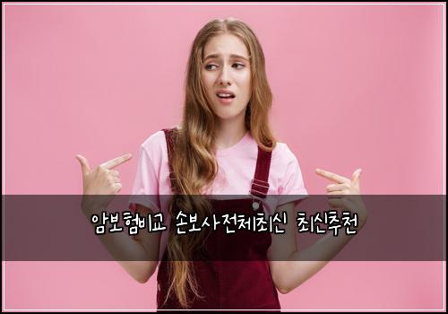 암보험비교 손보사전체최신 최신추천