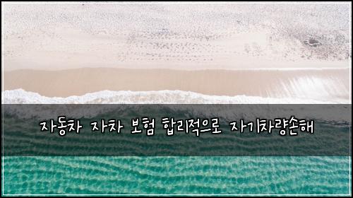 자동차 자차 보험 합리적으로  자기차량손해
