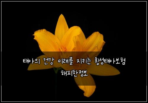 태아의 건강 미래를 지키는 횡성태아보험 해피한정보 