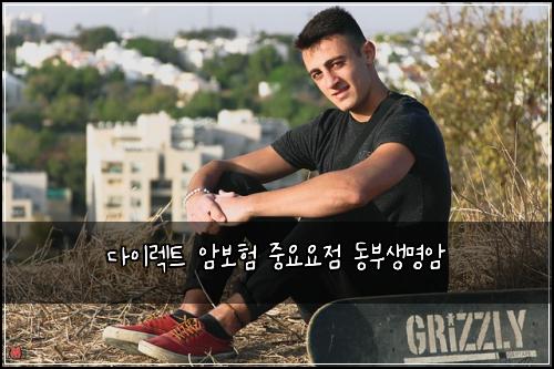 다이렉트 암보험 중요요점  동부생명암