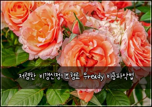 ์ ๋ ดํ ๋น๊ฐฑ์ ์ ๊ธฐ๋ณดํ๋ฃ ๋ฌดready ๋น์ฉํ์
๋ฒ