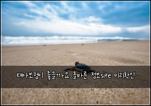 ํ์๋ณดํ์ด ์ข์๊น์ ์ฌ๋ฐ๋ฅธ ์ ๋ณดsite ๋ฏธ๋ฆฌํ์ธ