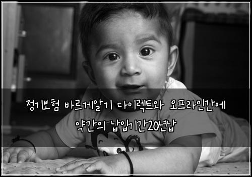 정기보험 바르게알기  다이렉트와 오프라인간에 약간의 납입기간20년납