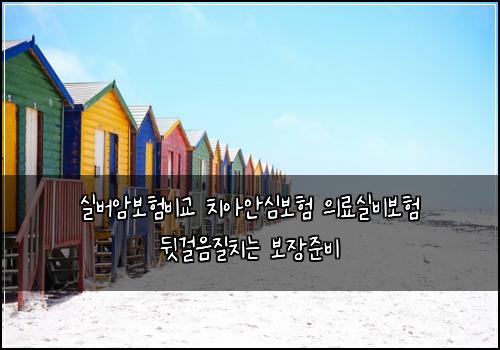 실버암보험비교 치아안심보험 의료실비보험 뒷걸음질치는 보장준비