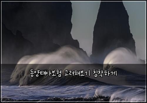 동양태아보험 고려해보기  침착하게
