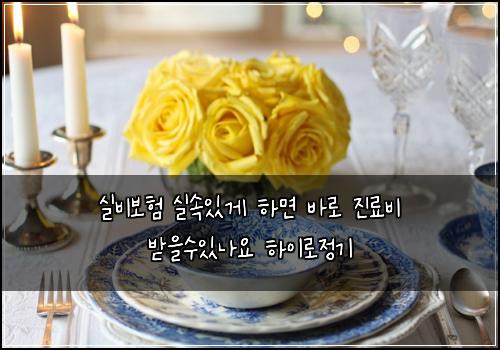 실비보험 실속있게  하면 바로 진료비 받을수있나요 하이로정기