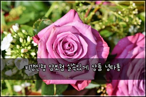 비갱신형 암보험 실속있게  상품 녕타퐁