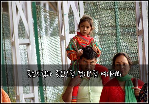 종신보험과 종신보험 정기보험 여기서봐