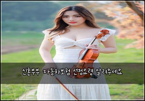 ์ ํผ๋ถ๋ถ ์๋์ฐจ๋ณดํ ์ ์ ์๋ น ์๋ ค์ฃผ์ธ์