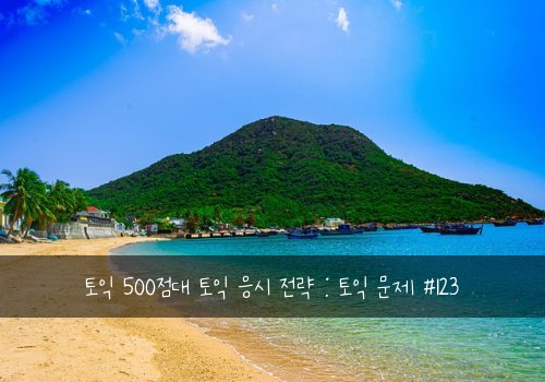 토익 500점대 토익 응시 전략 : 토익 문제 #123