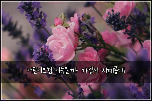 어린이보험 이득일까  가입시 지혜롭게