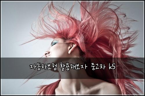 자동차보험 활용해보자  중고차 k5