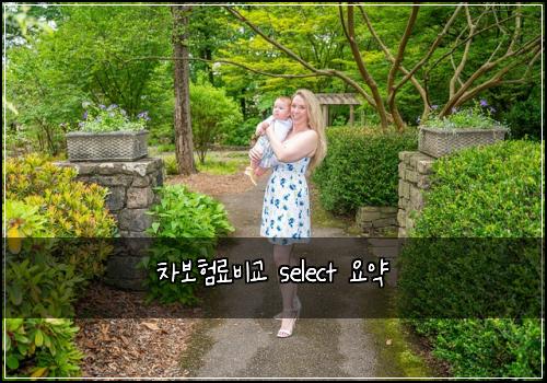 차보험료비교 select 요약