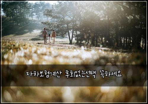 ์์ฐจ๋ณดํ๊ณ์ฐ ํํ์๋์ ํ ๊ผญํ์ธ์