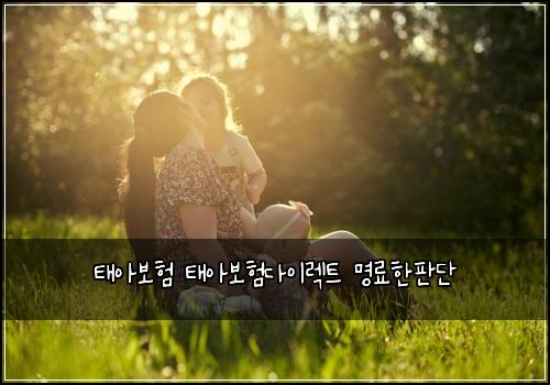 태아보험 태아보험다이렉트 명료한판단