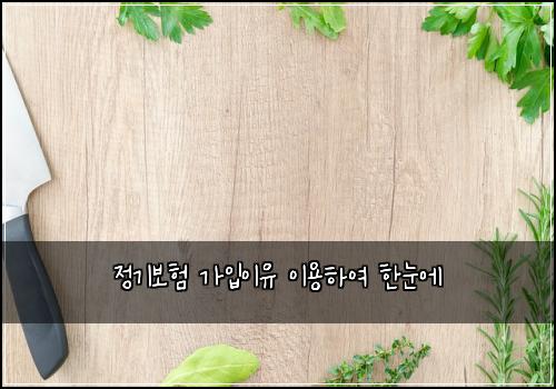 정기보험 가입이유  이용하여 한눈에