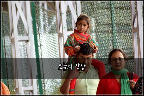 오늘의 색상