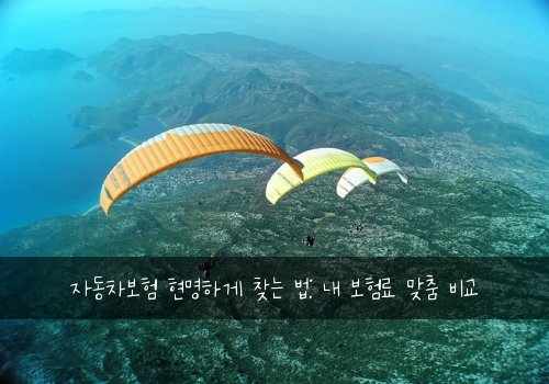 자동차보험 현명하게 찾는 법: 내 보험료 맞춤 비교