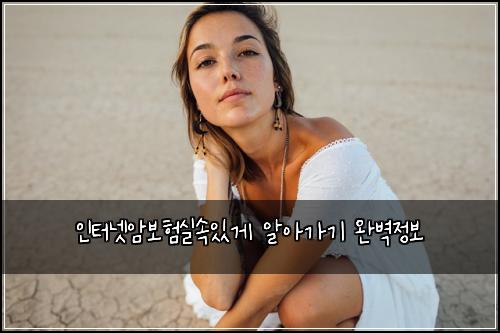 인터넷암보험실속있게 알아가기 완벽정보