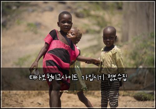 태아보험비교사이트 가입시기 정보수집