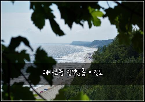 태아보험 정석맞춤  이정도