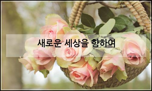오늘의 이미지