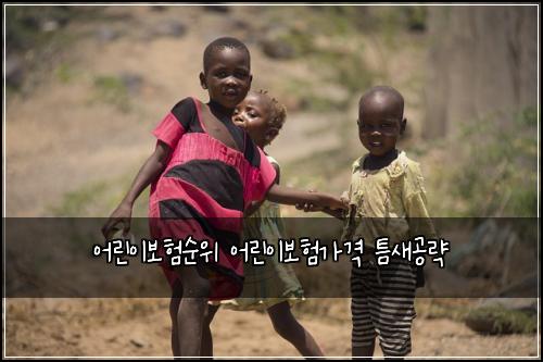 어린이보험순위 어린이보험가격 틈새공략