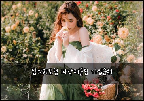 남의차보험 파악해볼점  가입순위