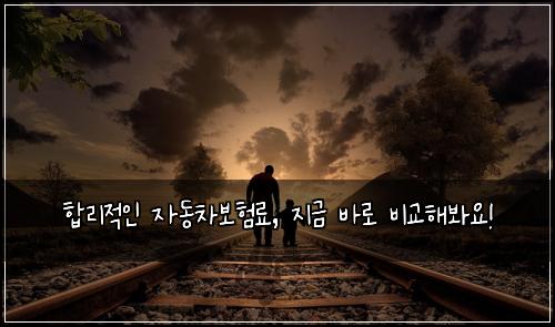 합리적인 자동차보험료, 지금 바로 비교해봐요!