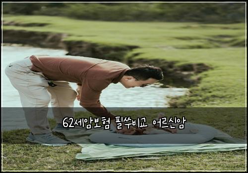 62세암보험 필쑤비교  어르신암
