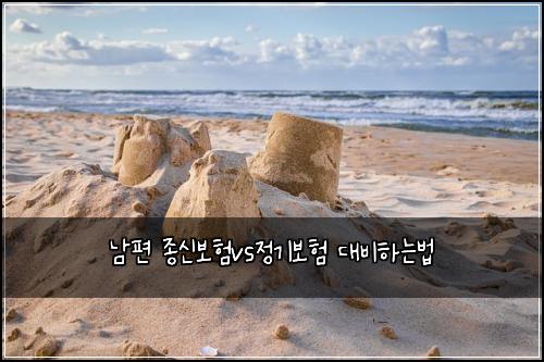 남편 종신보험vs정기보험 대비하는법