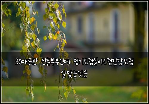 30대초반 신혼부부인데 정기보험실비보험건강보험 알맞는것은