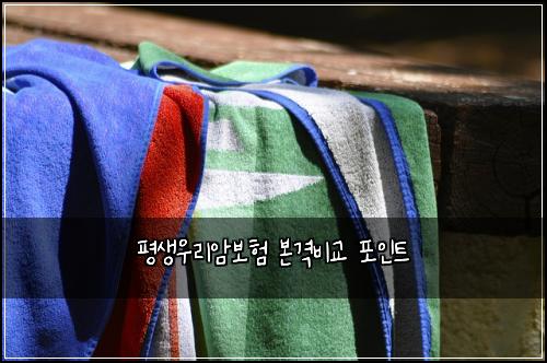 평생우리암보험 본격비교  포인트