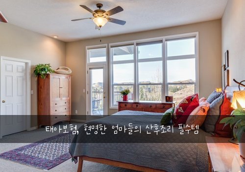  태아보험, 현명한 엄마들의 산후조리 필수템