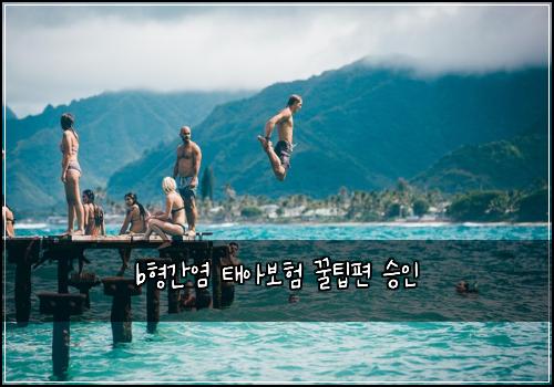 b형간염 태아보험 꿀팁편  승인