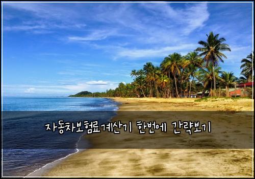 자동차보험료계산기 한번에 간략보기