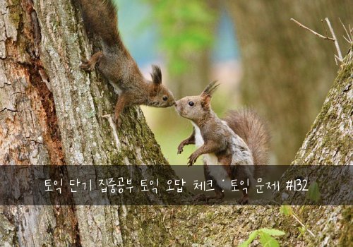 토익 단기 집중공부 토익 오답 체크 : 토익 문제 #132