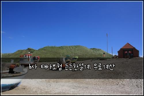 h사 태아보험 든든한설계  무료계산