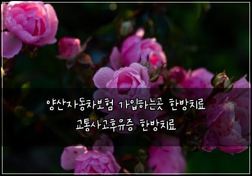 양산자동차보험 가입하는곳  한방치료 교통사고후유증 한방치료