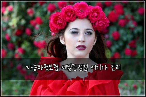 자동차첫보험 세밀한점검  여기가 진리