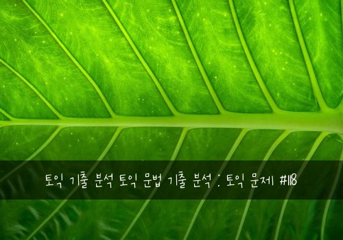 토익 기출 분석 토익 문법 기출 분석 : 토익 문제 #118