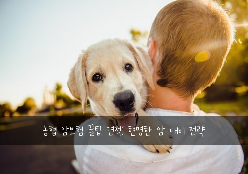 농협 암보험 꿀팁 견적: 현명한 암 대비 전략