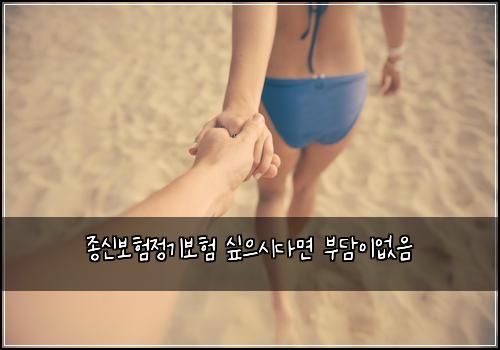 종신보험정기보험 싶으시다면 부담이없음