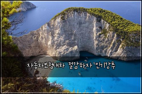 자동차보험대차 절감하자 인기강추