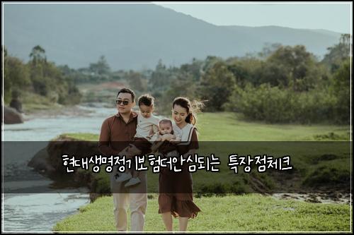 현대생명정기보험더안심되는 특장점체크